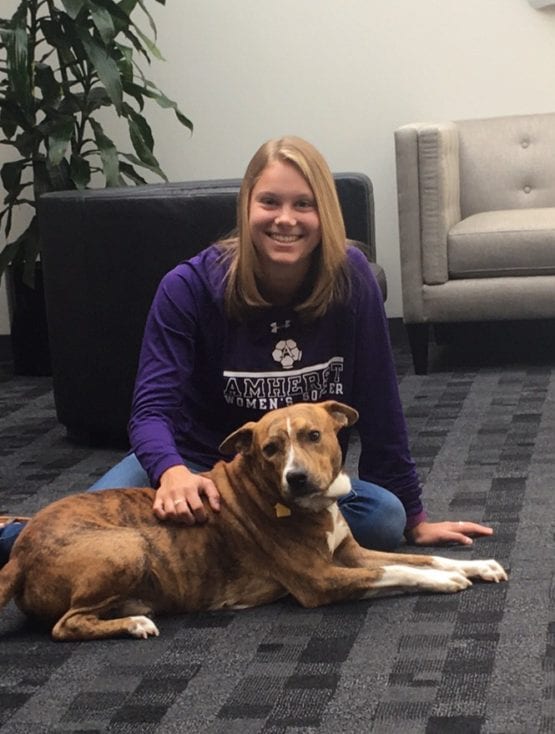 Reflections on my experience as a summer intern